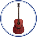 2015 HYCO Epiphone Signed Guitar